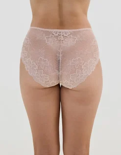 All Lacey Full Brief