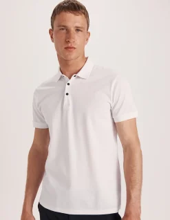 Andy Polo
