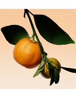 Armani Prive Orange Mediterranee EDT 100ml