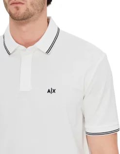Basics Polo Shirt