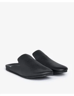BRAIDY-02