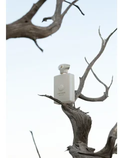 DECISION EDP 100ML