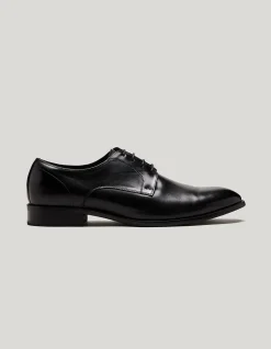 Lace Up Derby Shoes