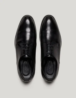 Lace Up Derby Shoes