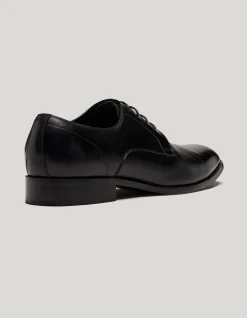 Lace Up Derby Shoes