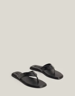 Lexi Slides