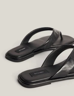 Lexi Slides