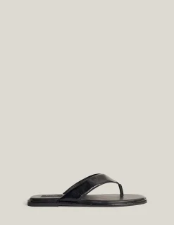 Lexi Slides