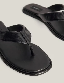 Lexi Slides