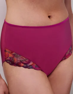 LILY FULL BRIEF