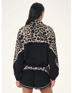 Linear Jacket
