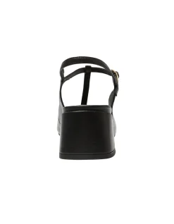 LOTUS PUMP