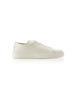 LOW TOP