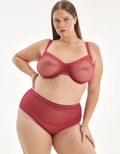 Mesh High Waist Brief