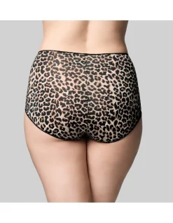 Micro Full Brief