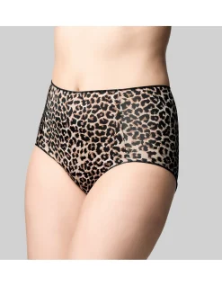 Micro Full Brief