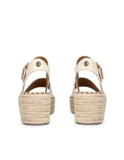 PIA WEDGE