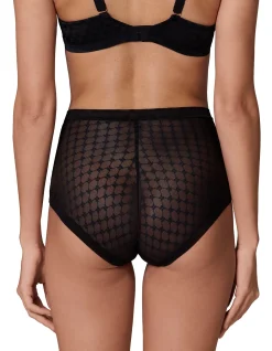PLUME CONTROL BRIEF