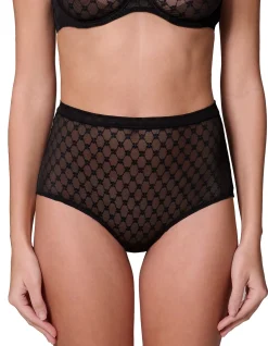 PLUME CONTROL BRIEF