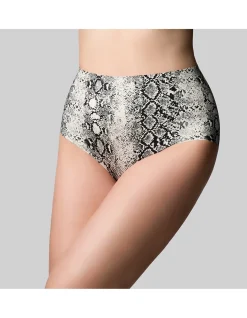PRECISION FULL BRIEF