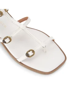 REGENT FLAT GLADIATOR