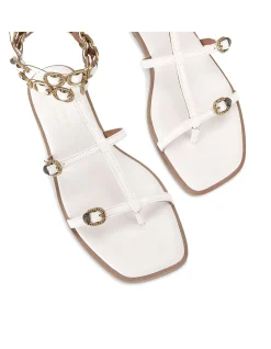 REGENT FLAT GLADIATOR