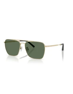 R-25Square BRUSHED GOLD G-15 POLAR Sunglasses