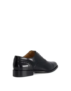 SOLIDERS BROGUE