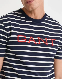 Striped Graphic T-Shirt
