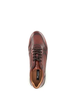 TAZ TRAINER