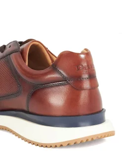 TAZ TRAINER