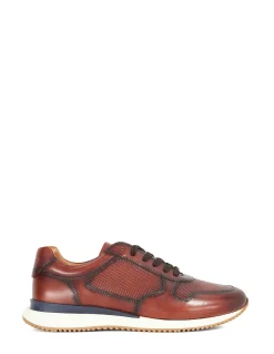 TAZ TRAINER