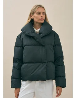 The Beyond Puffer