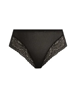Tiernie Brief