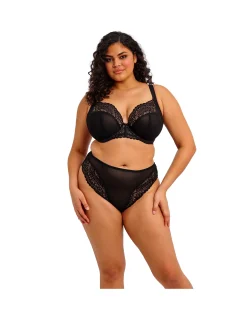 Tiernie Brief