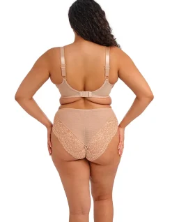 Tiernie Brief