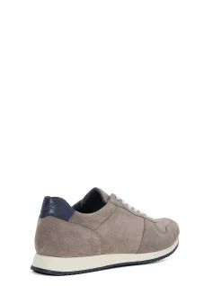 TOULOUS TRAINER