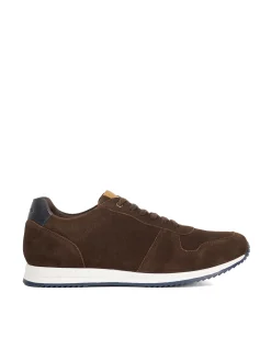 TOULOUS TRAINER