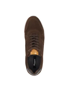 TOULOUS TRAINER