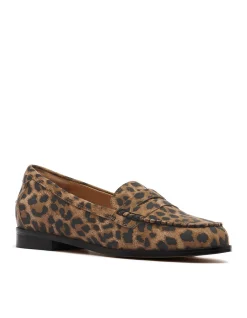 WOMEN'S Franklin Dark Leopard Print Suede SHOE