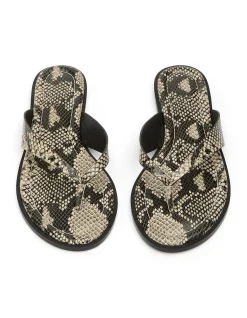 Women's Sahara Sandals
