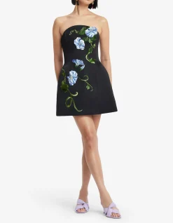 Zaria Applique Floral Bustier Mini Dress